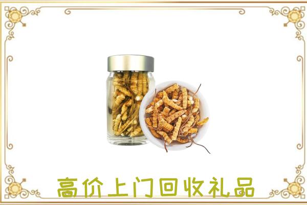 淮滨县周边回收虫草